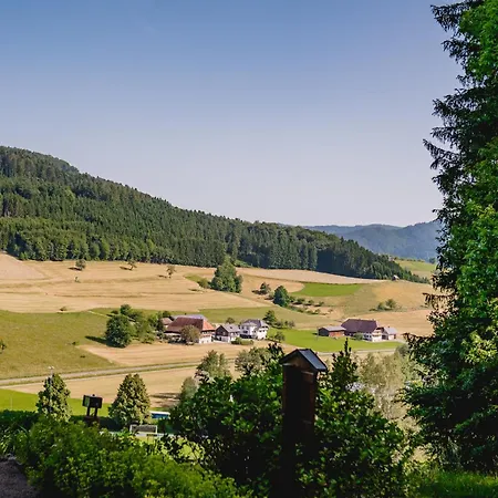 Apartmán Moderne Und Ansprechende Kinast 2 Host111 Im Herzen Des Schwarzwaldes *