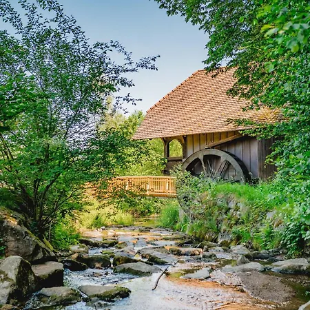 Moderne Und Ansprechende Kinast 2 Host111 Im Herzen Des Schwarzwaldes *